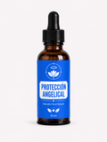 Proteccion Angelical